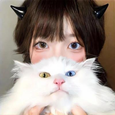 再见 南屏晚钟