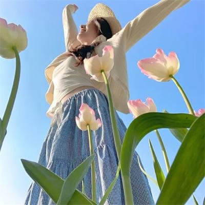 黑眉蚊